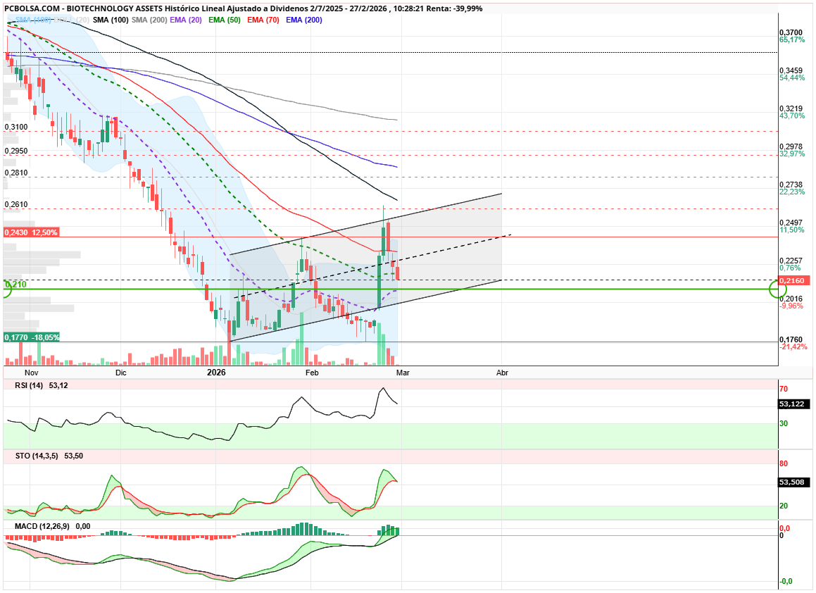 grafico de la accion angel_campos