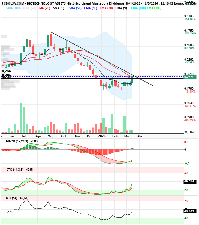 grafico de la accion BIOTECHNOLOGY ASSETS
