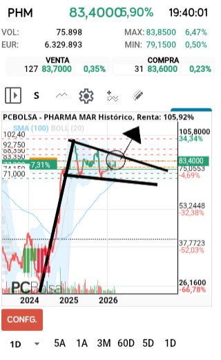 grafico de la accion faemino1