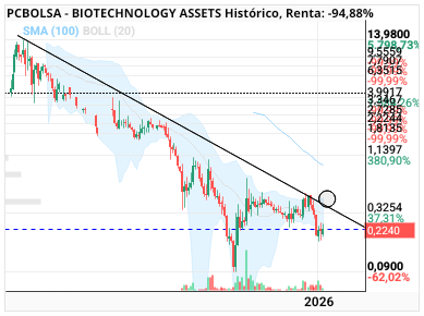 grafico de la accion BIOTECHNOLOGY ASSETS