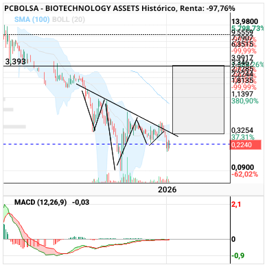 grafico de la accion BIOTECHNOLOGY ASSETS