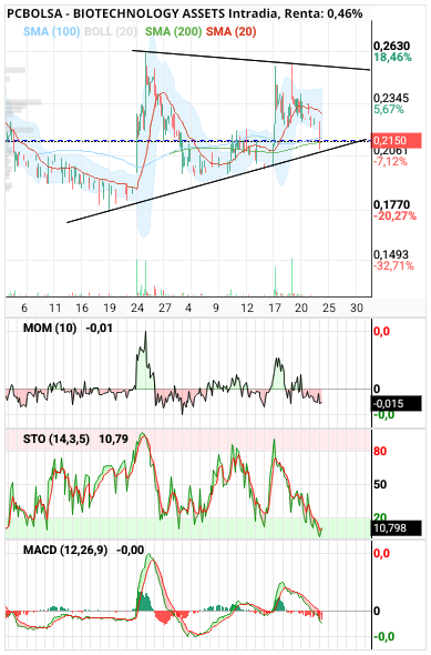 grafico de la accion BIOTECHNOLOGY ASSETS