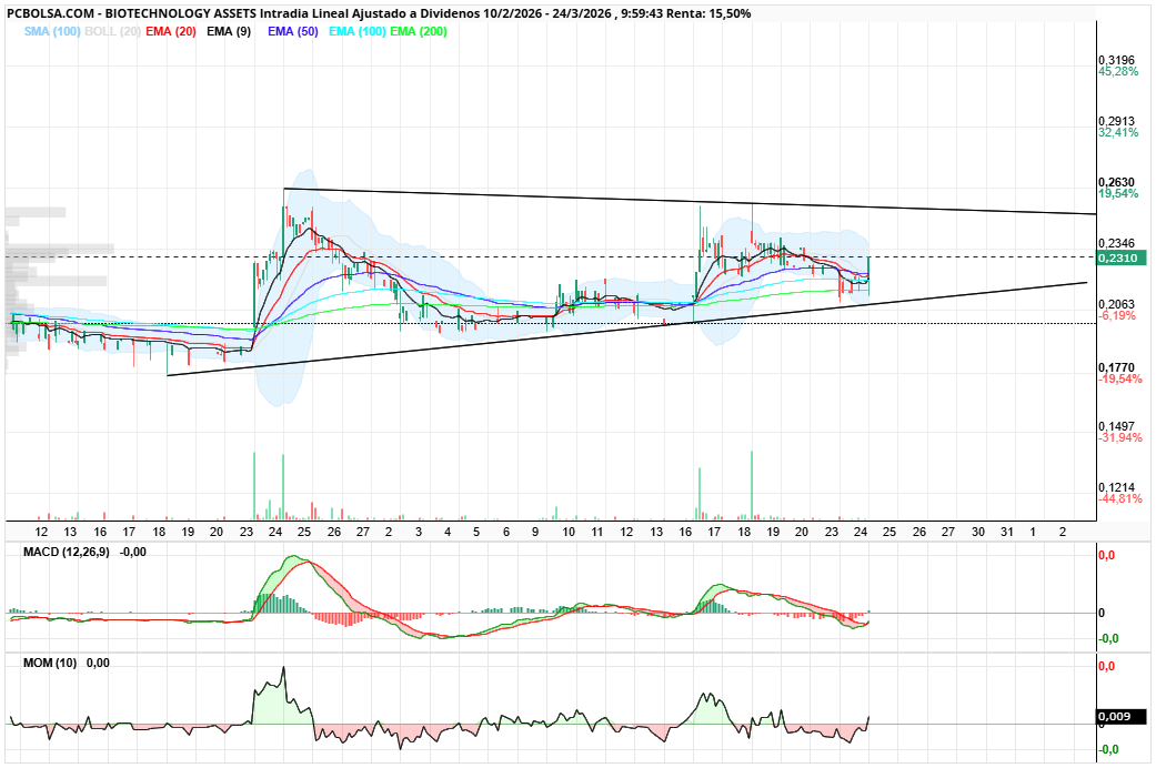 grafico de la accion BIOTECHNOLOGY ASSETS