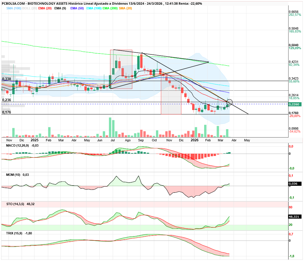 grafico de la accion BIOTECHNOLOGY ASSETS