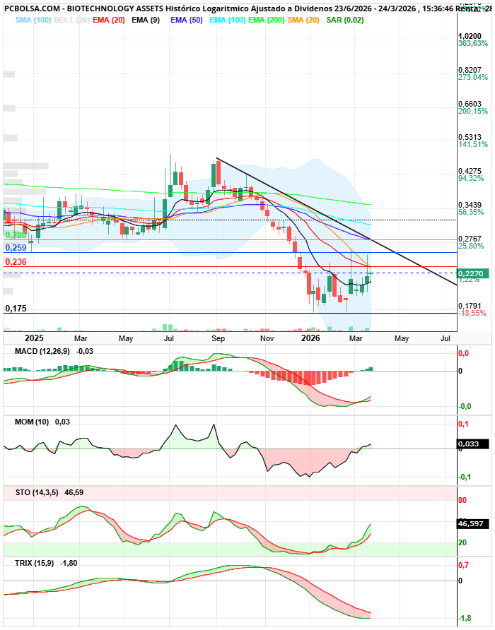 grafico de la accion BIOTECHNOLOGY ASSETS