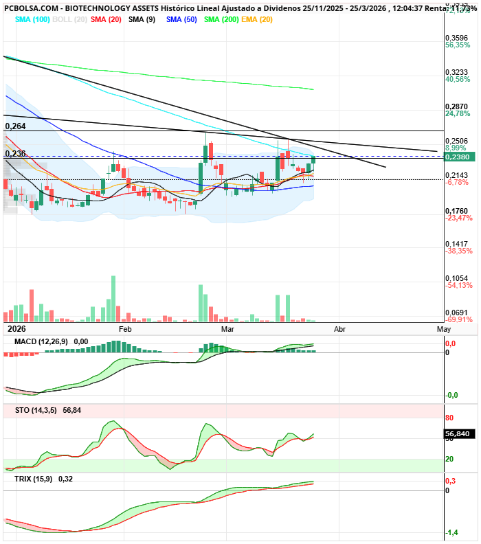 grafico de la accion BIOTECHNOLOGY ASSETS