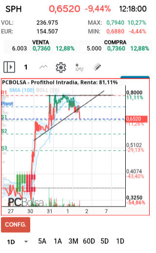 grafico de la accion Profithol