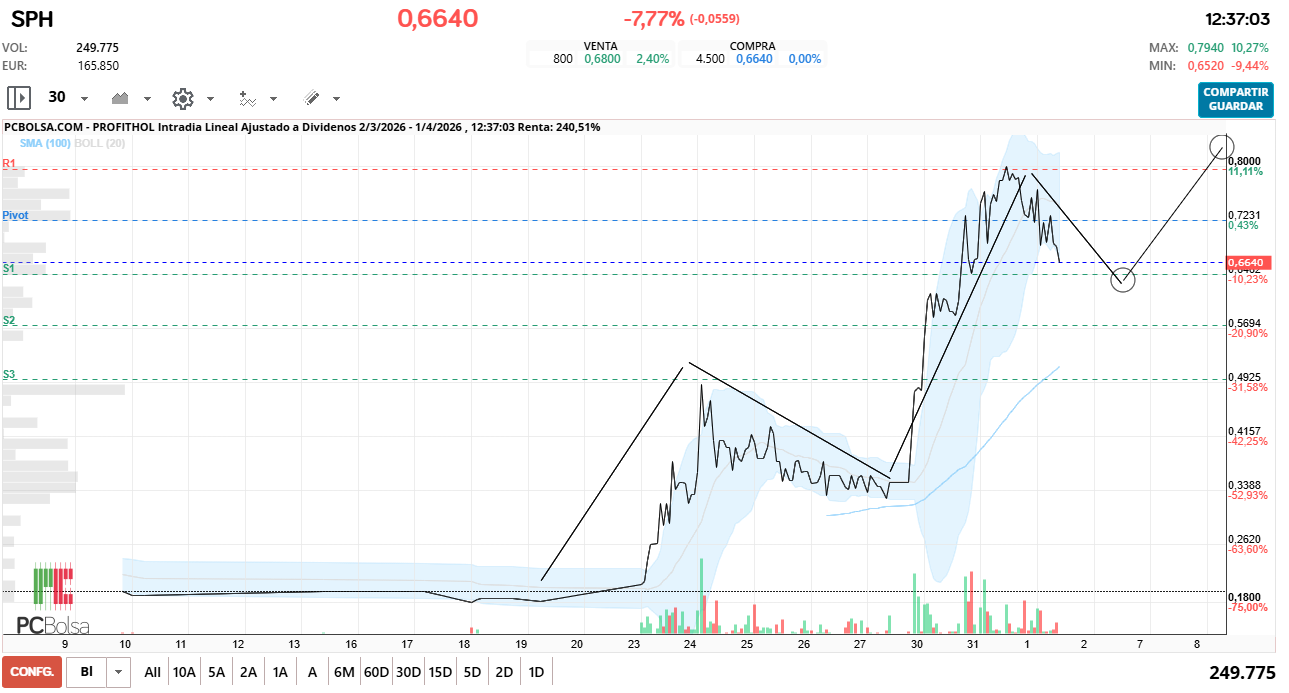 grafico de la accion Profithol