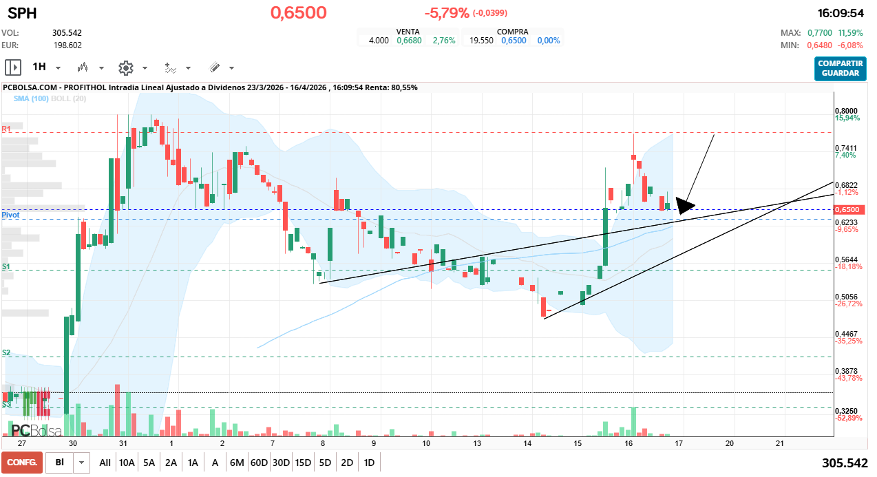 grafico de la accion Profithol