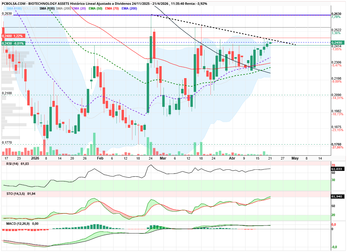 grafico de la accion angel_campos