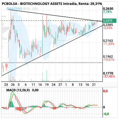 grafico de la accion BIOTECHNOLOGY ASSETS