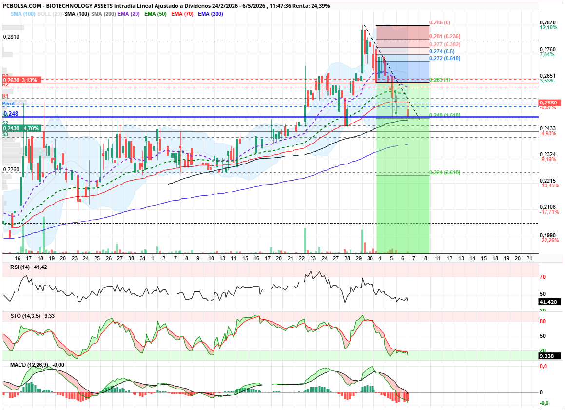 grafico de la accion angel_campos
