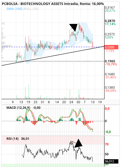grafico de la accion BIOTECHNOLOGY ASSETS