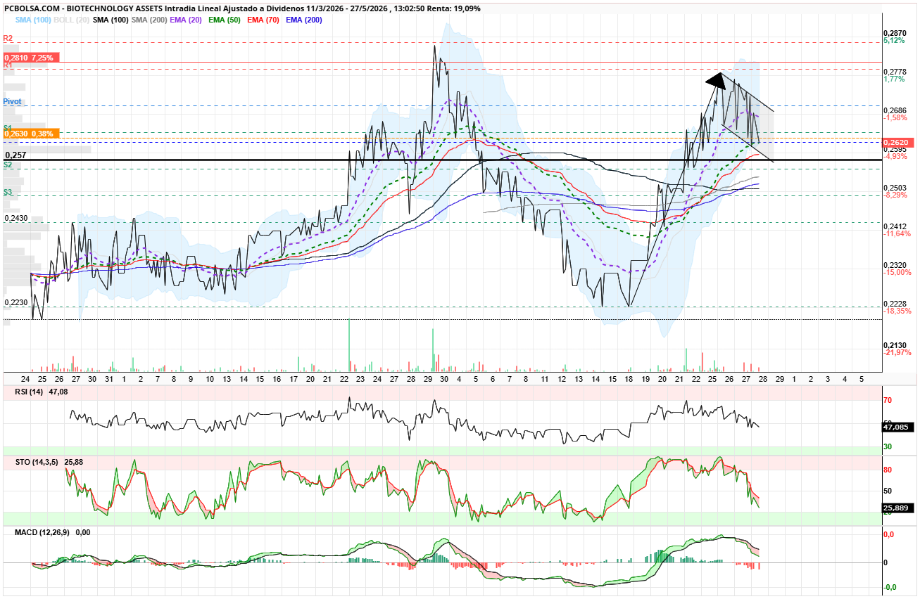 grafico de la accion angel_campos