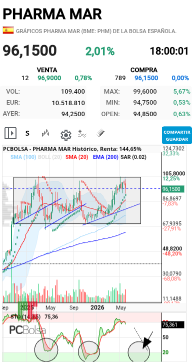 grafico de la accion dmeiga