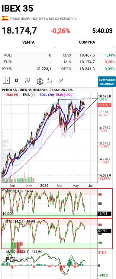 grafico de la accion pueyo