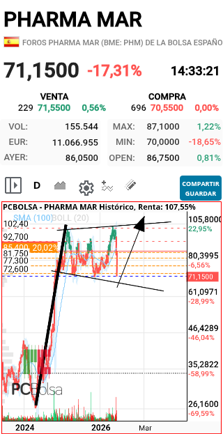 grafico de la accion faemino1