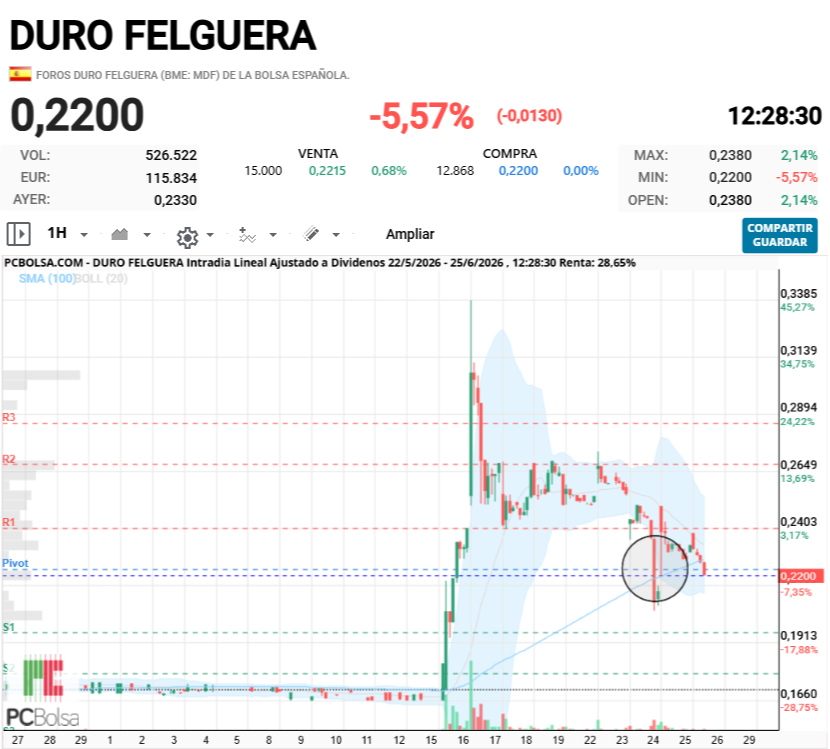 Duro Felguera - este