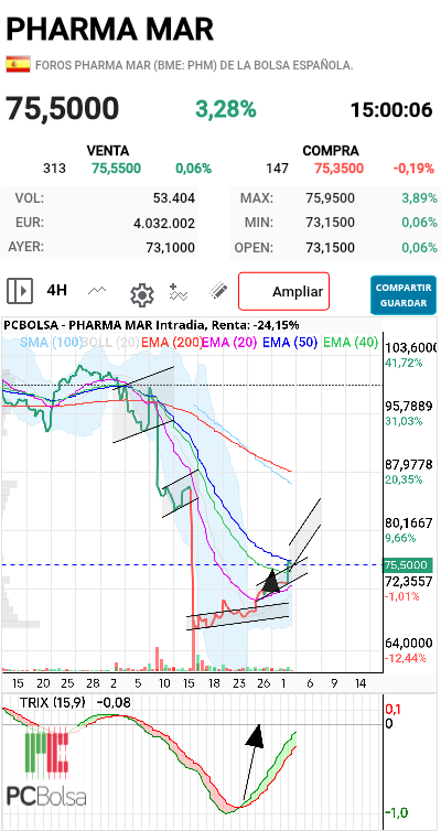 grafico de la accion futurosolar