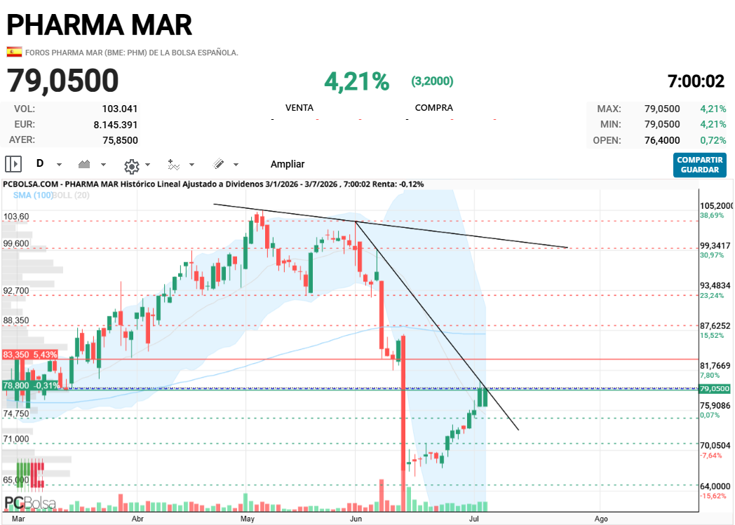 grafico de la accion joseq13