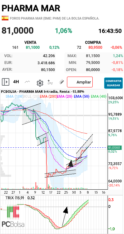 grafico de la accion futurosolar