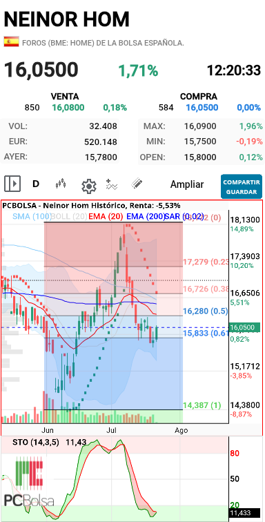 grafico de la accion dmeiga