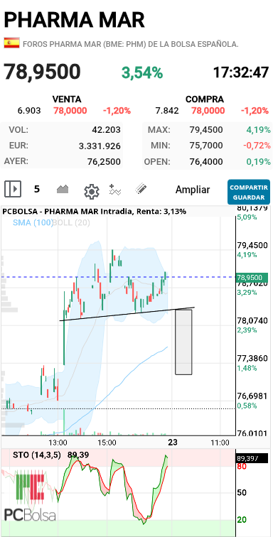 grafico de la accion dmeiga