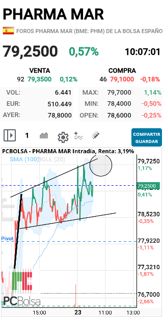 grafico de la accion faemino1