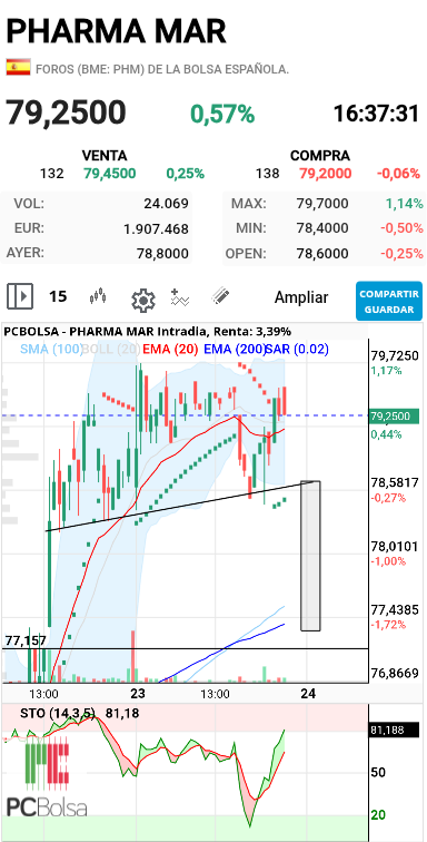 grafico de la accion dmeiga