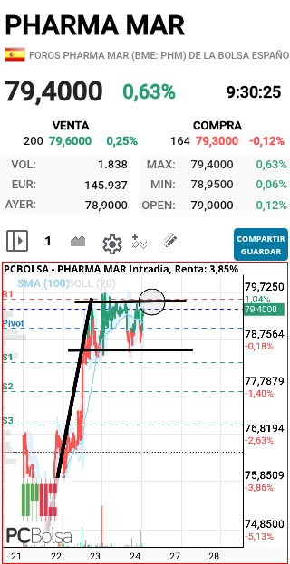 grafico de la accion faemino1