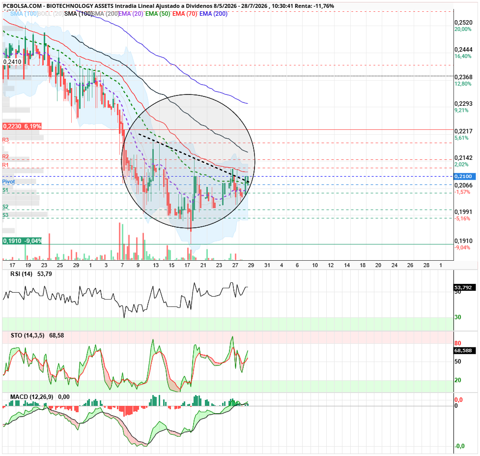 grafico de la accion angel_campos