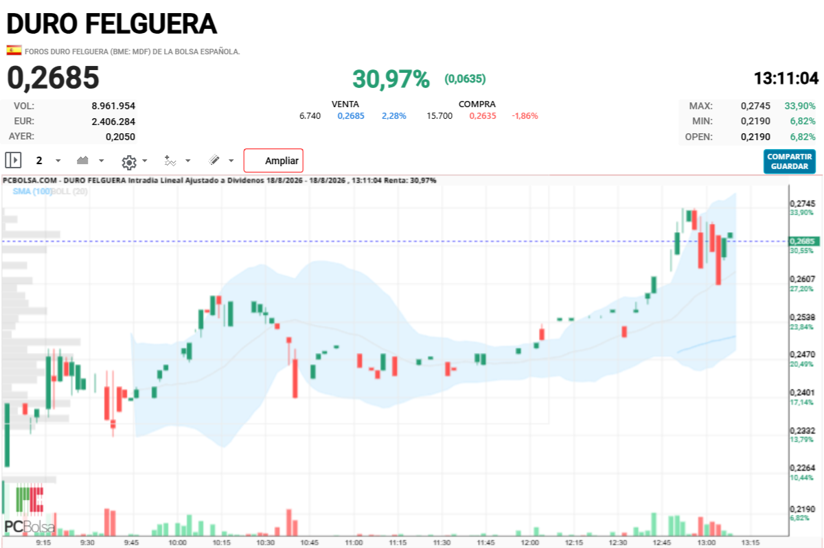Duro Felguera - .