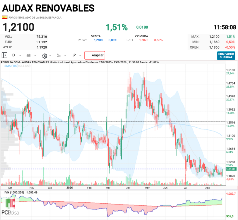 Audax Renovables - .