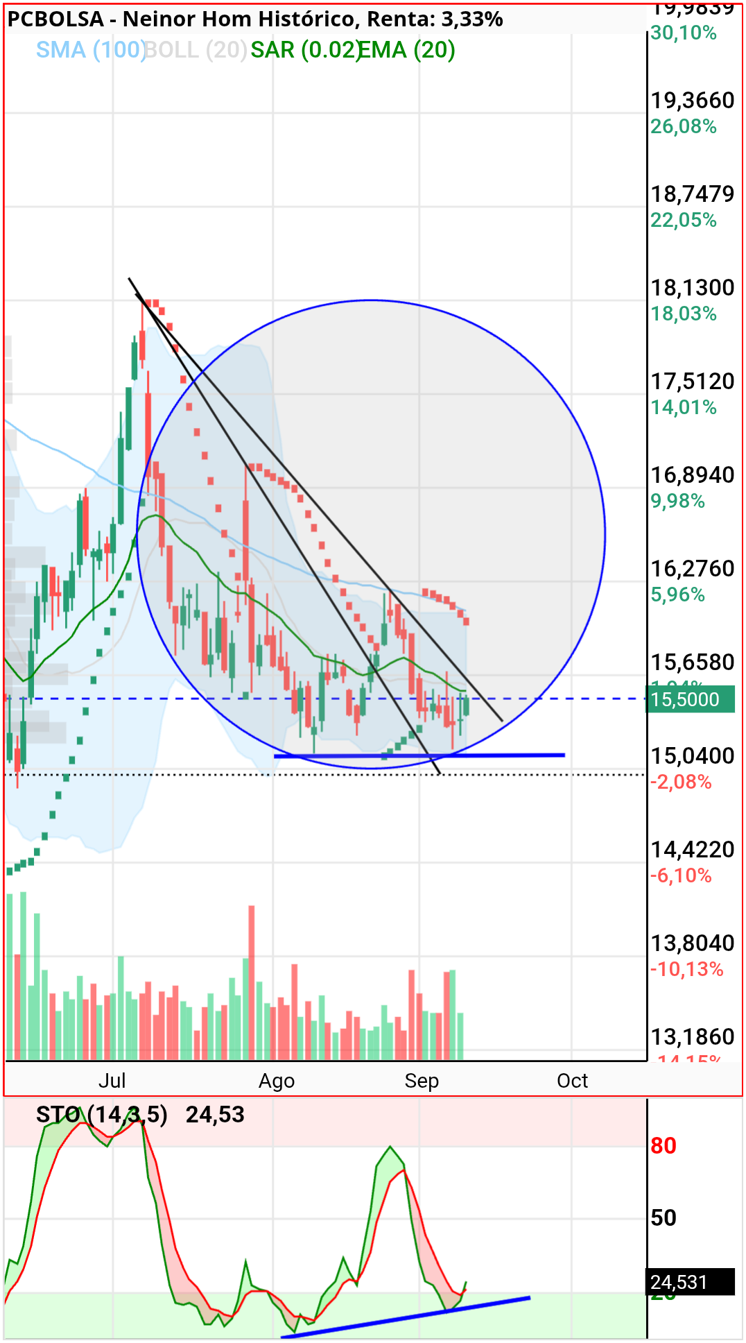grafico de la accion dmeiga