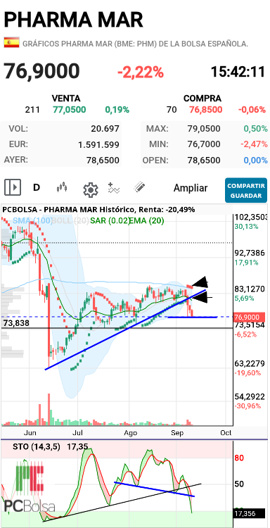 grafico de la accion dmeiga