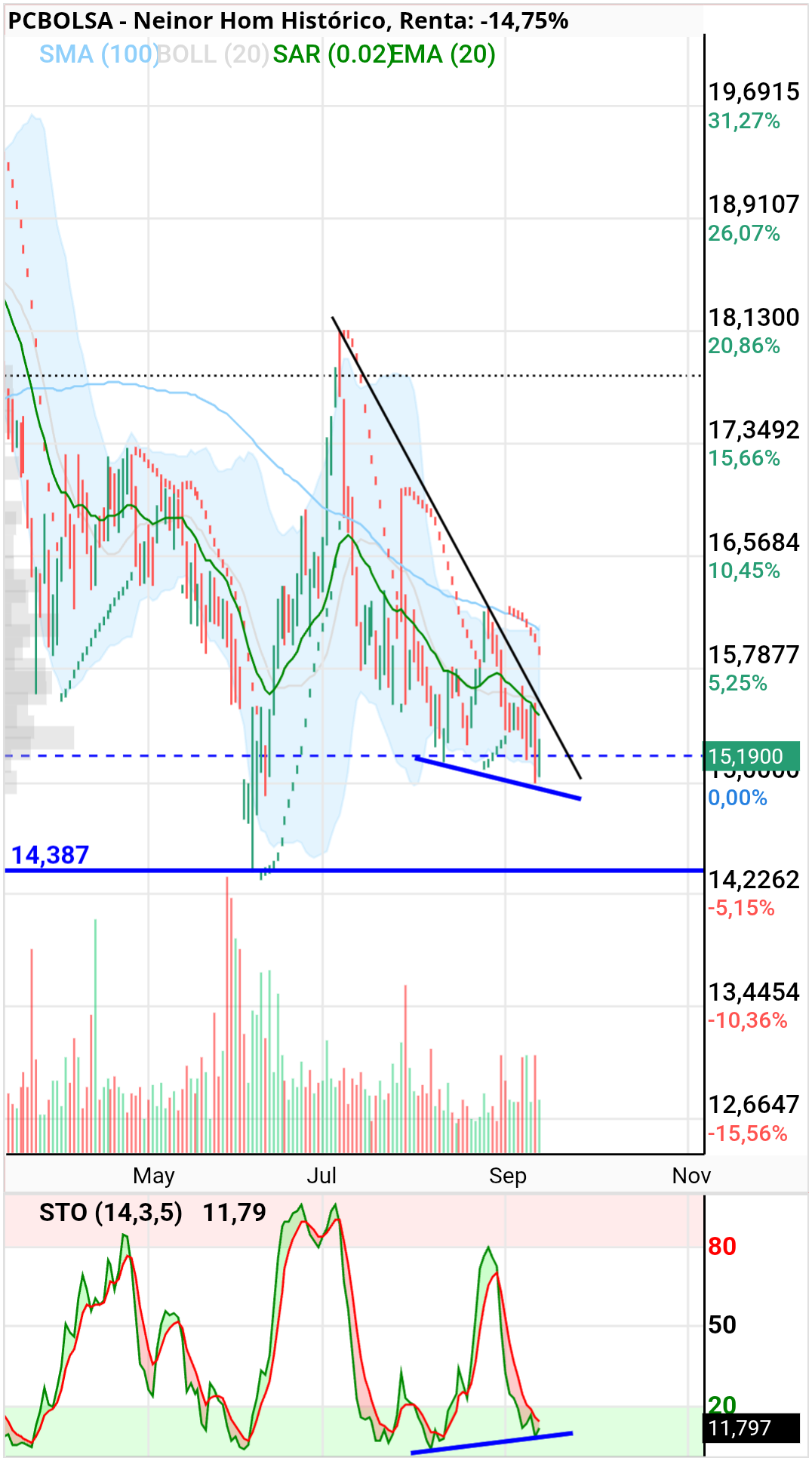 grafico de la accion dmeiga