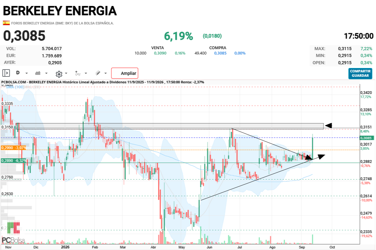grafico de la accion dario69