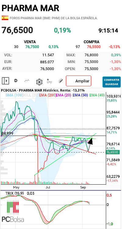 grafico de la accion futurosolar
