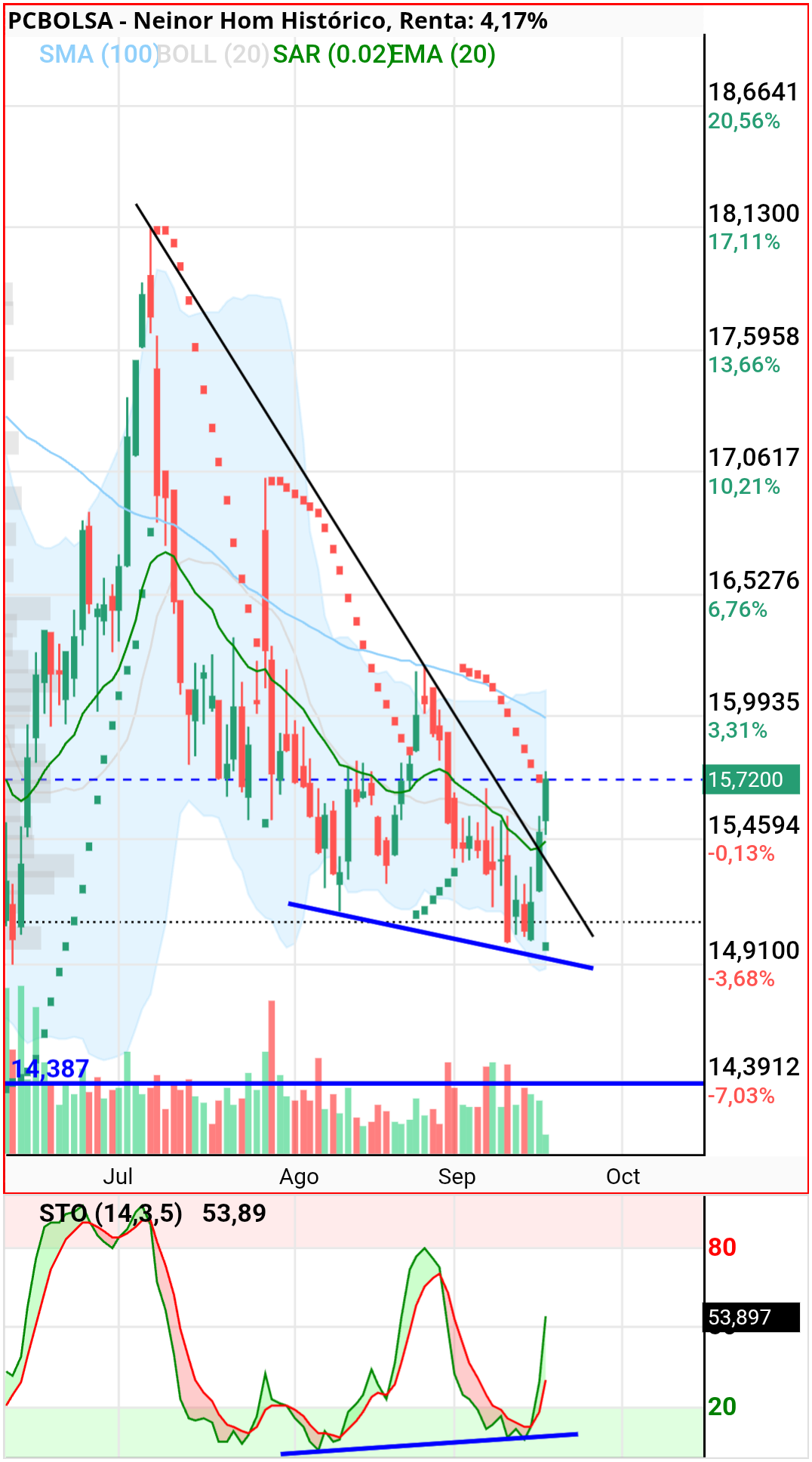 grafico de la accion dmeiga
