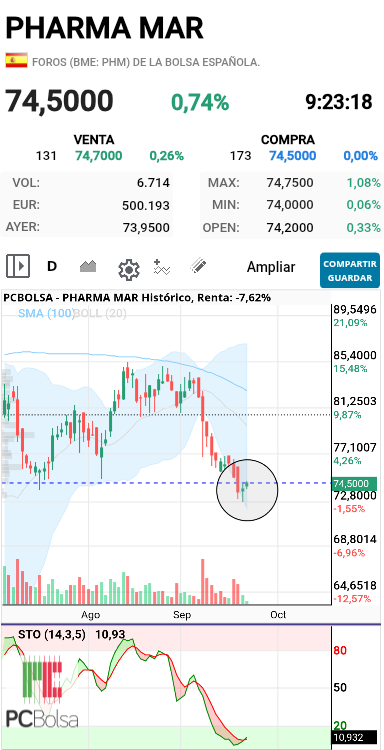 grafico de la accion dmeiga
