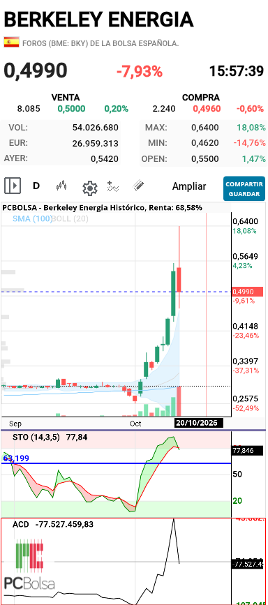 Berkeley Energia - Diario