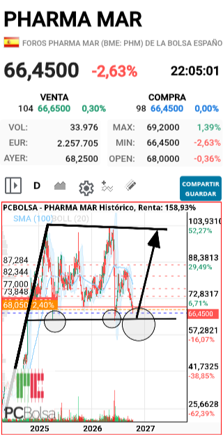 grafico de la accion faemino1