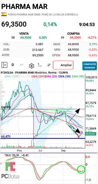 grafico de la accion futurosolar